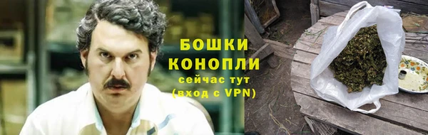 бошки Протвино