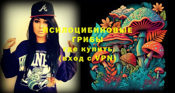бошки Протвино