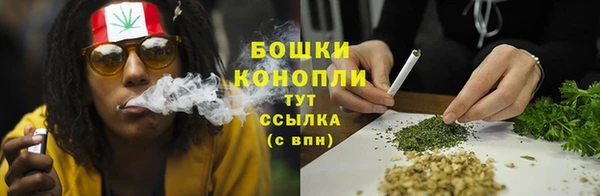 бошки Протвино