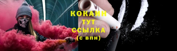 бошки Протвино