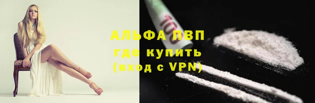 бошки Протвино